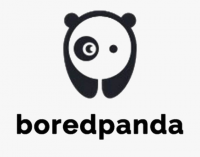 PHP Developer. Bored Panda